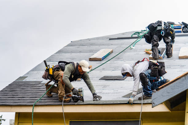 Professional Storm Damage Roof Repair technician working in Modena, NY